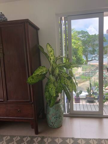 Hong Kong Village House gallery image 3