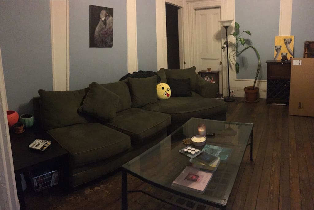 The couch is super comfortable, big--but not a pull-out sofa
