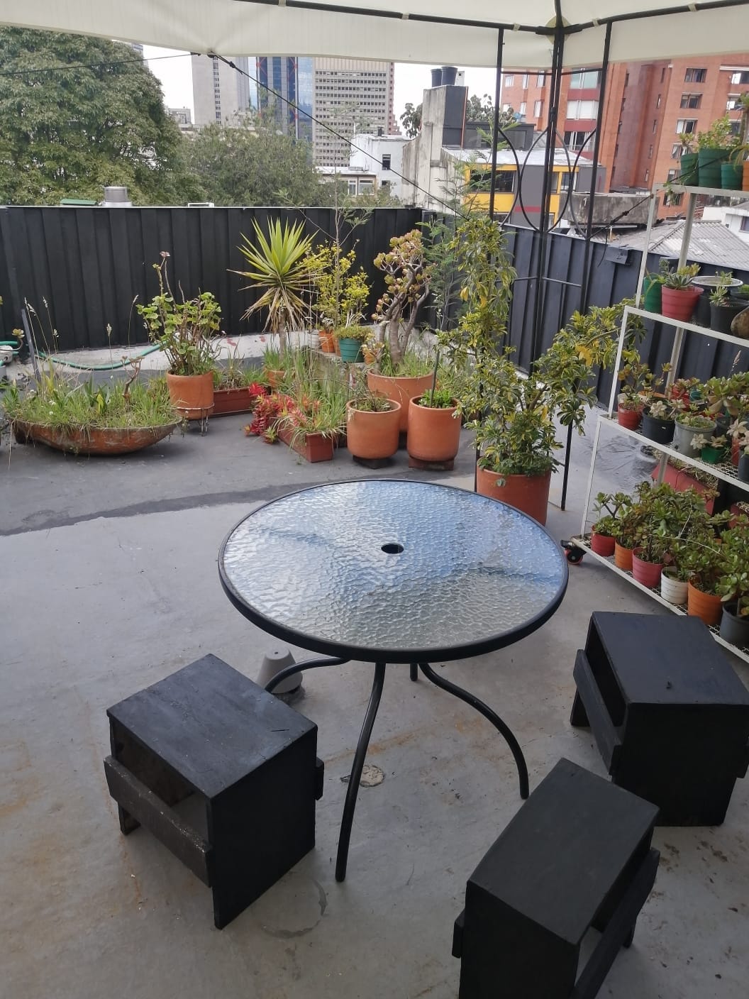 An outdoor terrace is highlighted by a glass-top round table surrounded by two black stools. Various potted plants are arranged around the space, providing greenery. The area is covered, offering some shade, with a backdrop of city buildings visible in the distance.