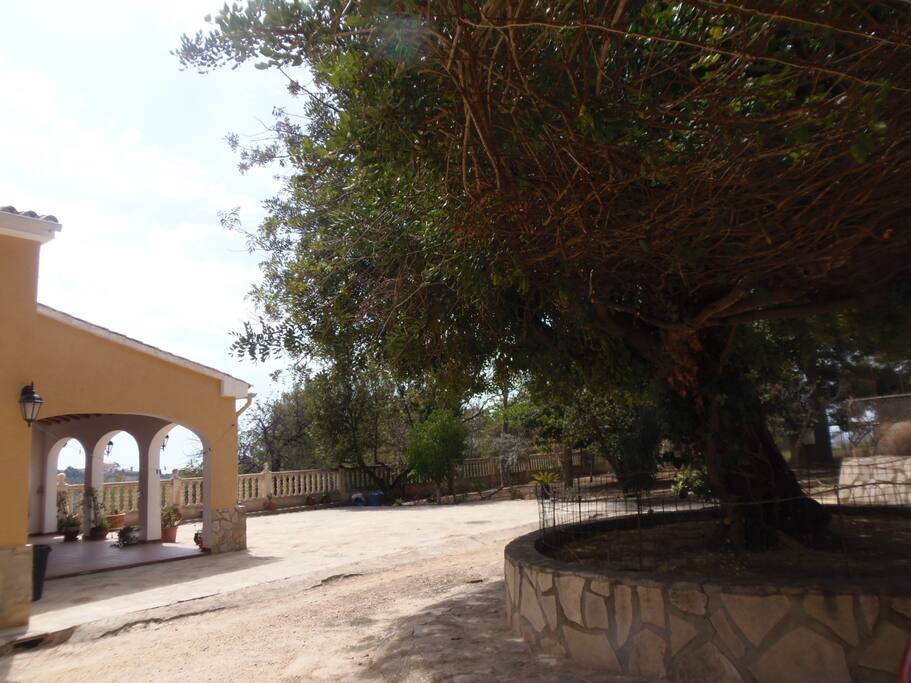 Lateral de la casa