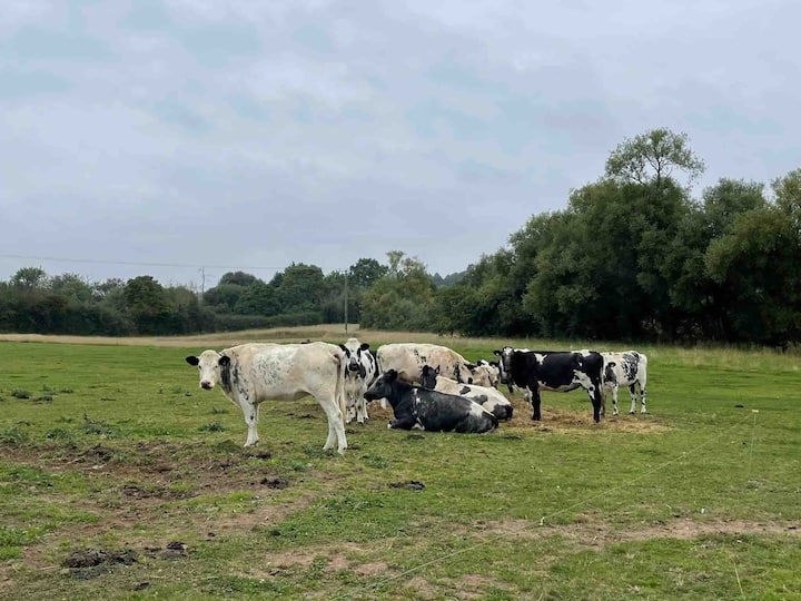 10 Best Farm Stays Near Warwick, UK Updated 2024 Trip101