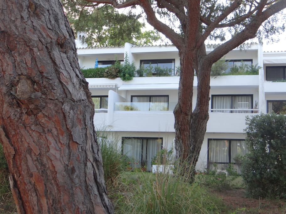 L'appartement