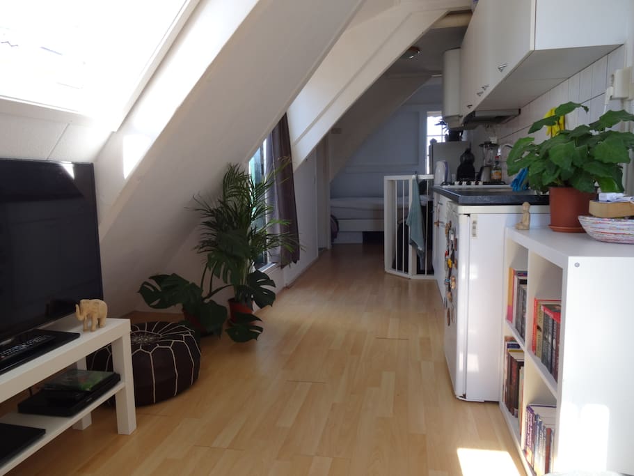 The apartment
