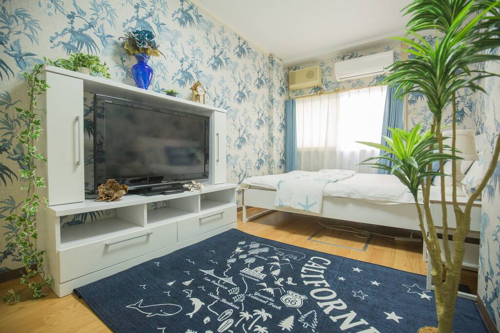 TV
