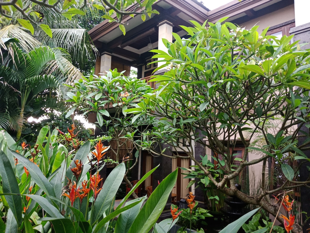 Lush greenery surrounds a modern building, with vibrant flowers and tropical plants framing the entrance. Tall trees and shrubs offer a natural barrier, enhancing the tranquil ambiance of the courtyard. The structure features large windows, inviting natural light into the space.