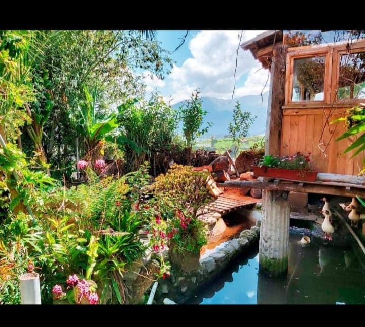 A lush garden scene features colorful flowers and greenery surrounding a tranquil pond. A wooden structure stands beside the water, supported by columns. The landscape is complemented by distant mountains and a clear sky, creating a serene outdoor atmosphere.