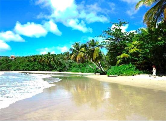 A serene beach scene is depicted, featuring soft, light sand gently meeting calm waves. Lush greenery and palm trees line the shore, while a clear blue sky transitions into scattered clouds. A person is seen strolling along the water's edge, enjoying the tranquil surroundings.