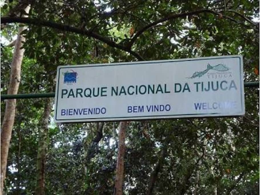 The beautiful National Park of Tijuca