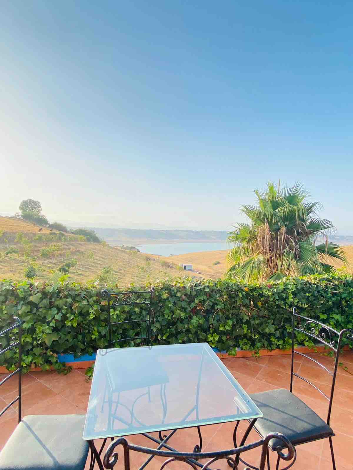 A shaded outdoor seating area features a glass table surrounded by black wrought-iron chairs. Lush greenery and a palm plant frame the view of rolling hills and a body of water under a clear blue sky.