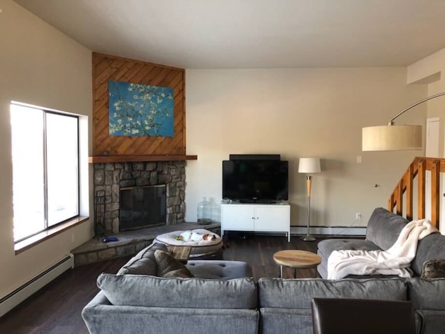 Updated Living room with new couch & TV