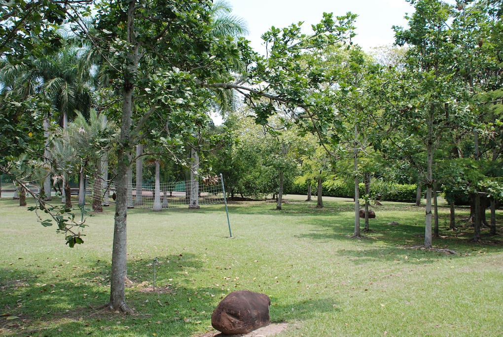 Jardín