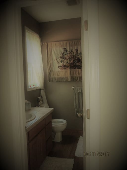 Master Bathroom with new glass doors on shower enclosure