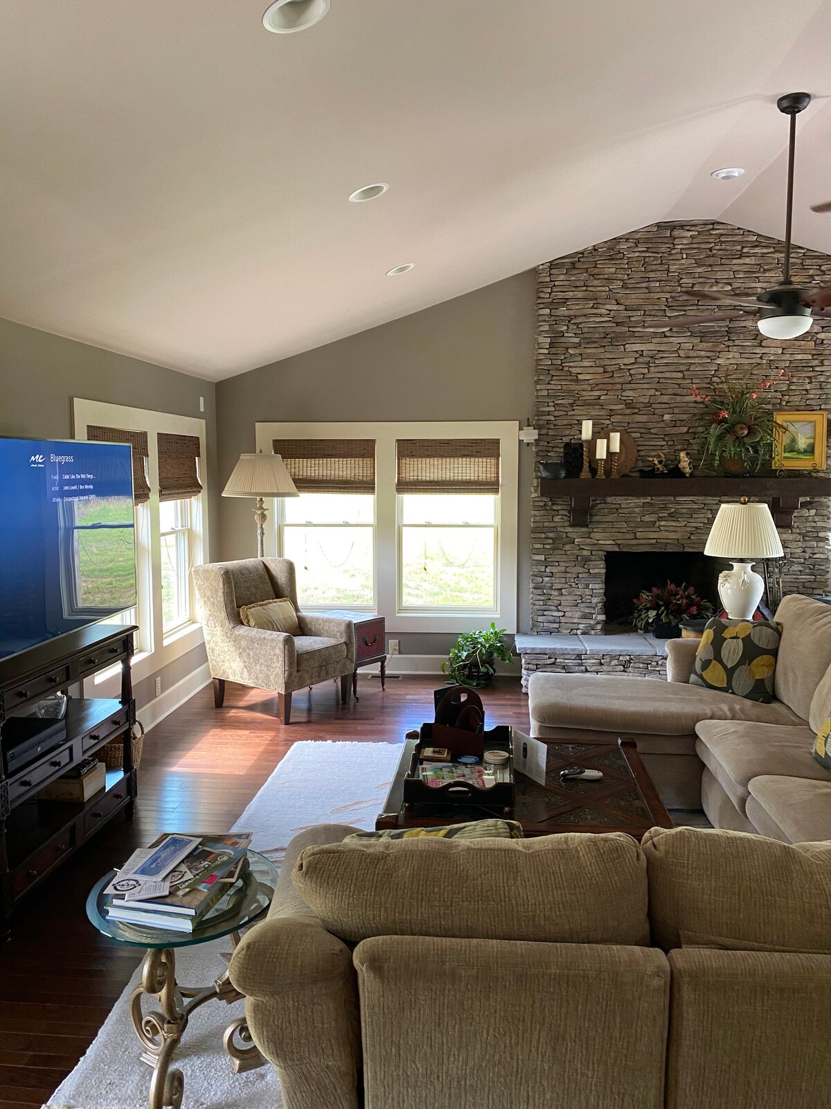 Лявата страна на всекидневната