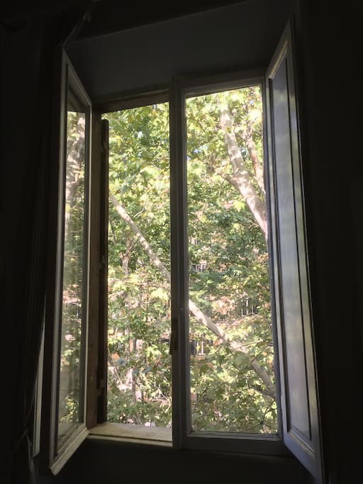 Ampia finestra con vista sul viale