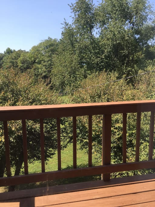 view from balcony of upstairs bedroom of Manor House