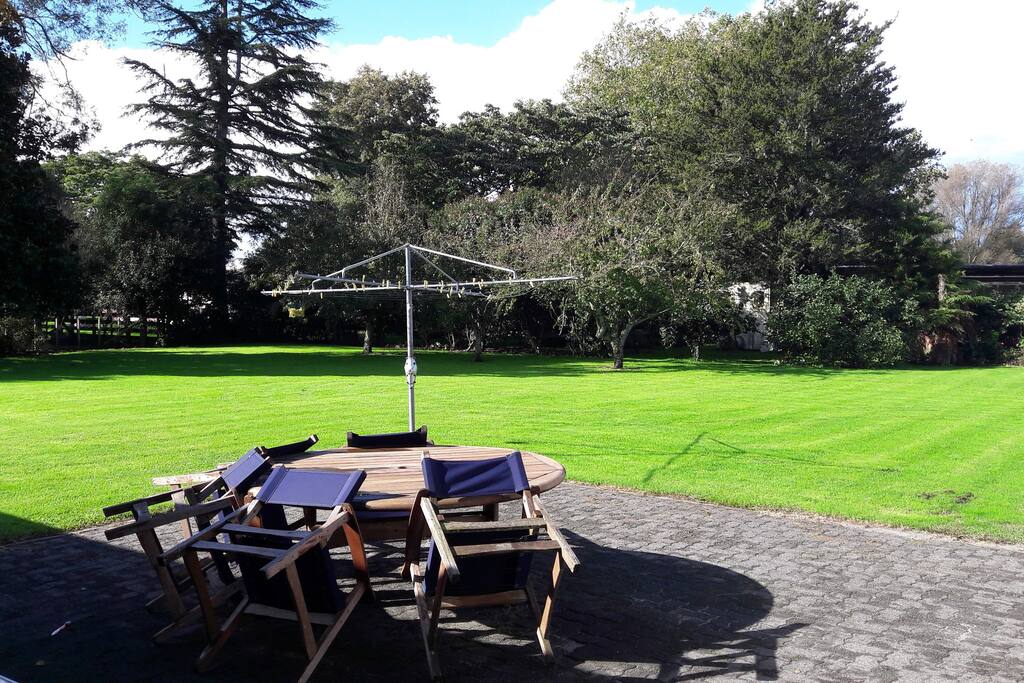 back yard