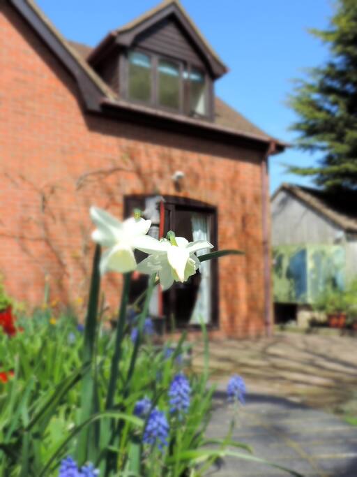 Annex Accomodation Showing Upstairs Bedroom Window and Downstairs Lounge Patio, with Views out to Garden & Fields.