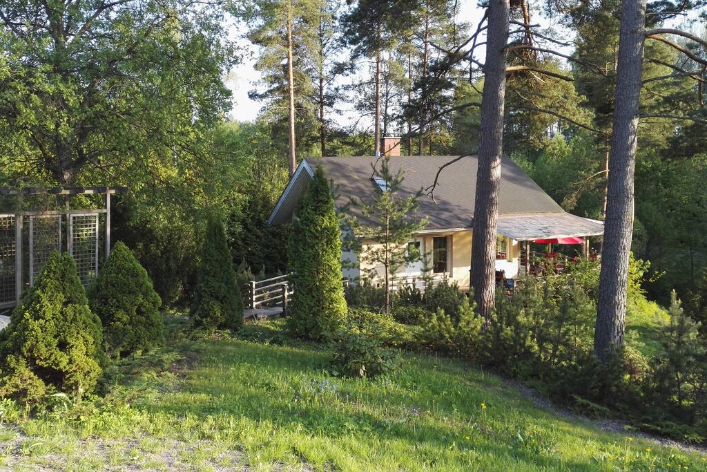 House surrounded by the garden