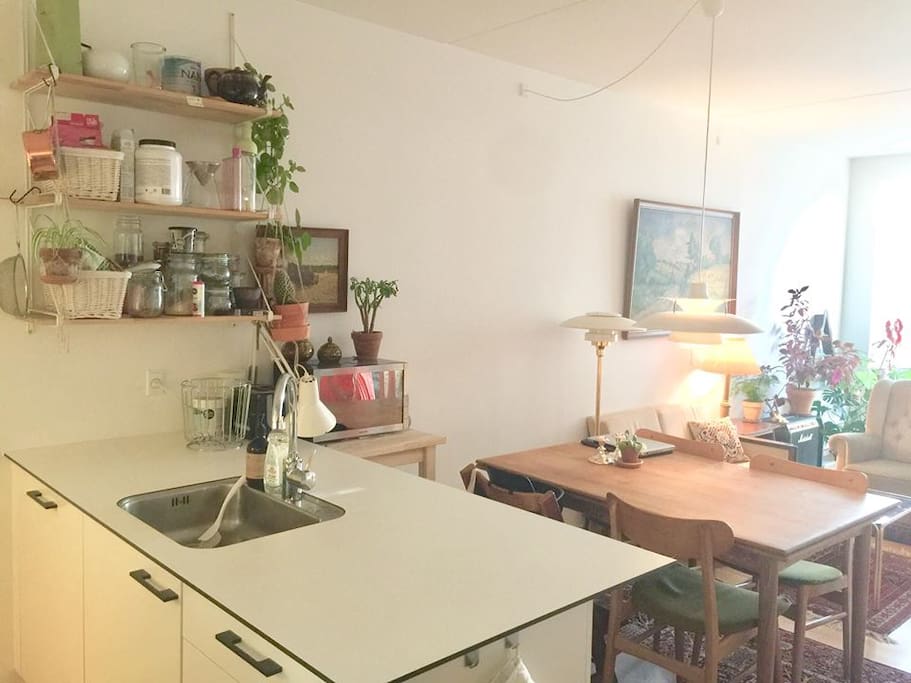 From kitchen