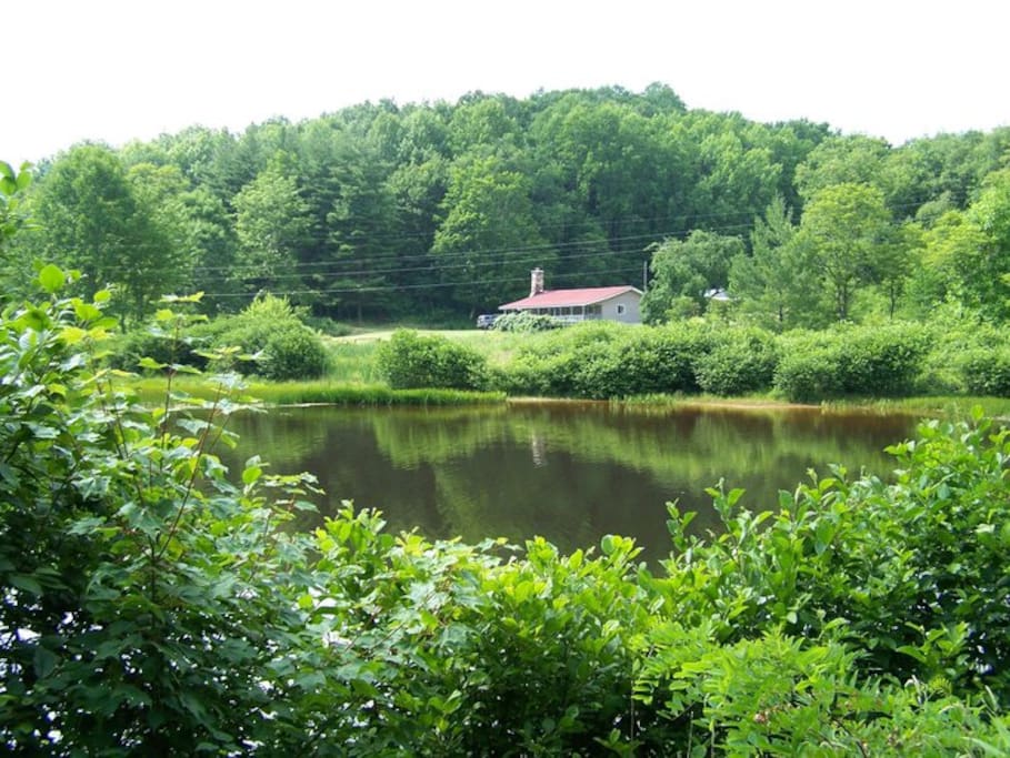 View across pond