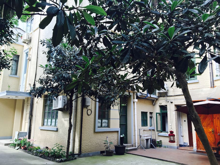 loux小院