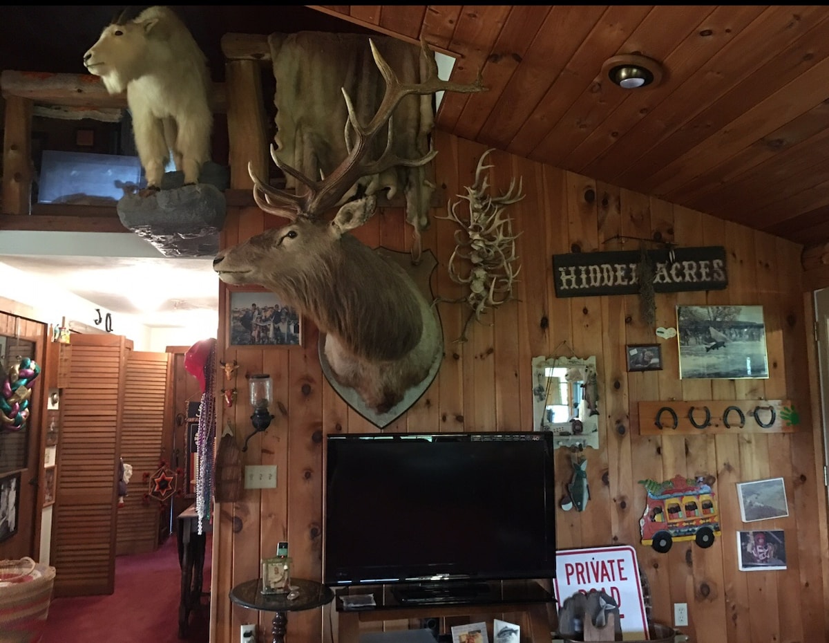 Decorative taxidermy, including a mounted antlered deer and a mountain goat, adorns the wooden walls of the cabin. A flat-screen television is positioned centrally, while various framed photographs and local memorabilia are displayed throughout the space, contributing to a rustic atmosphere.