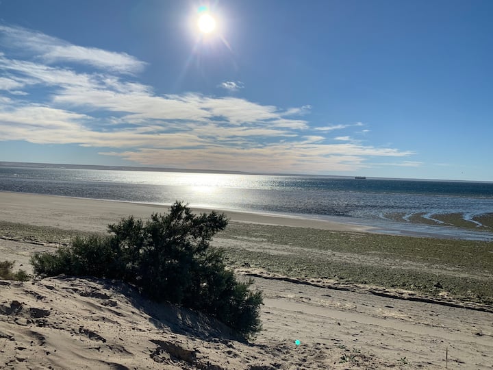 Puerto Madryn Belleza Patagonico - Puerto Madryn
