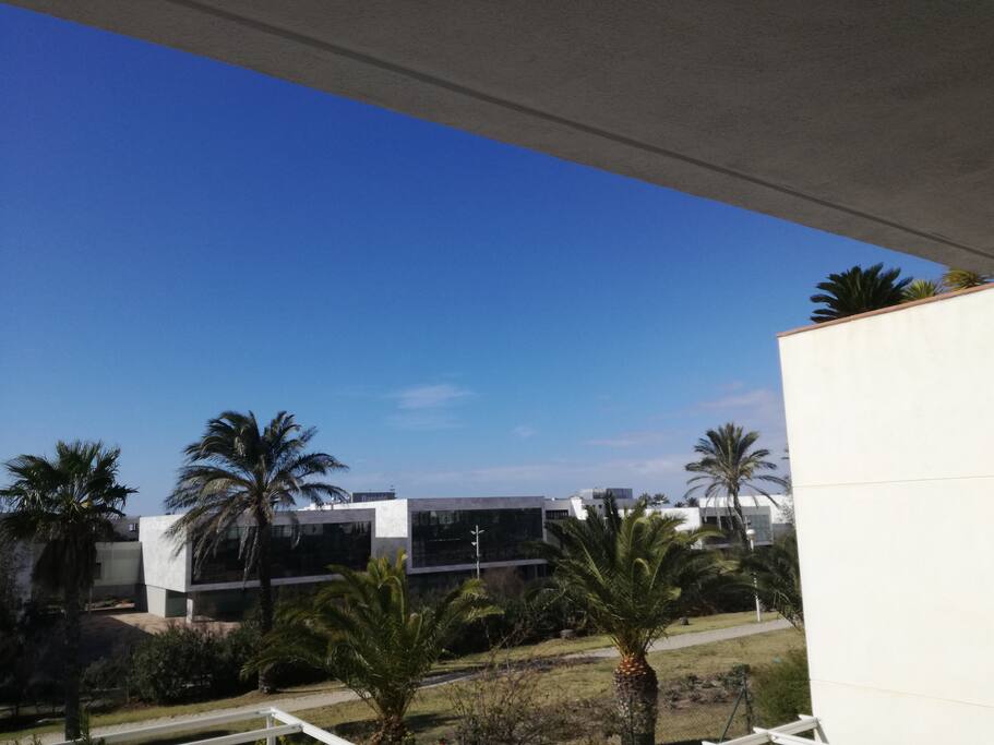 Vistas | views