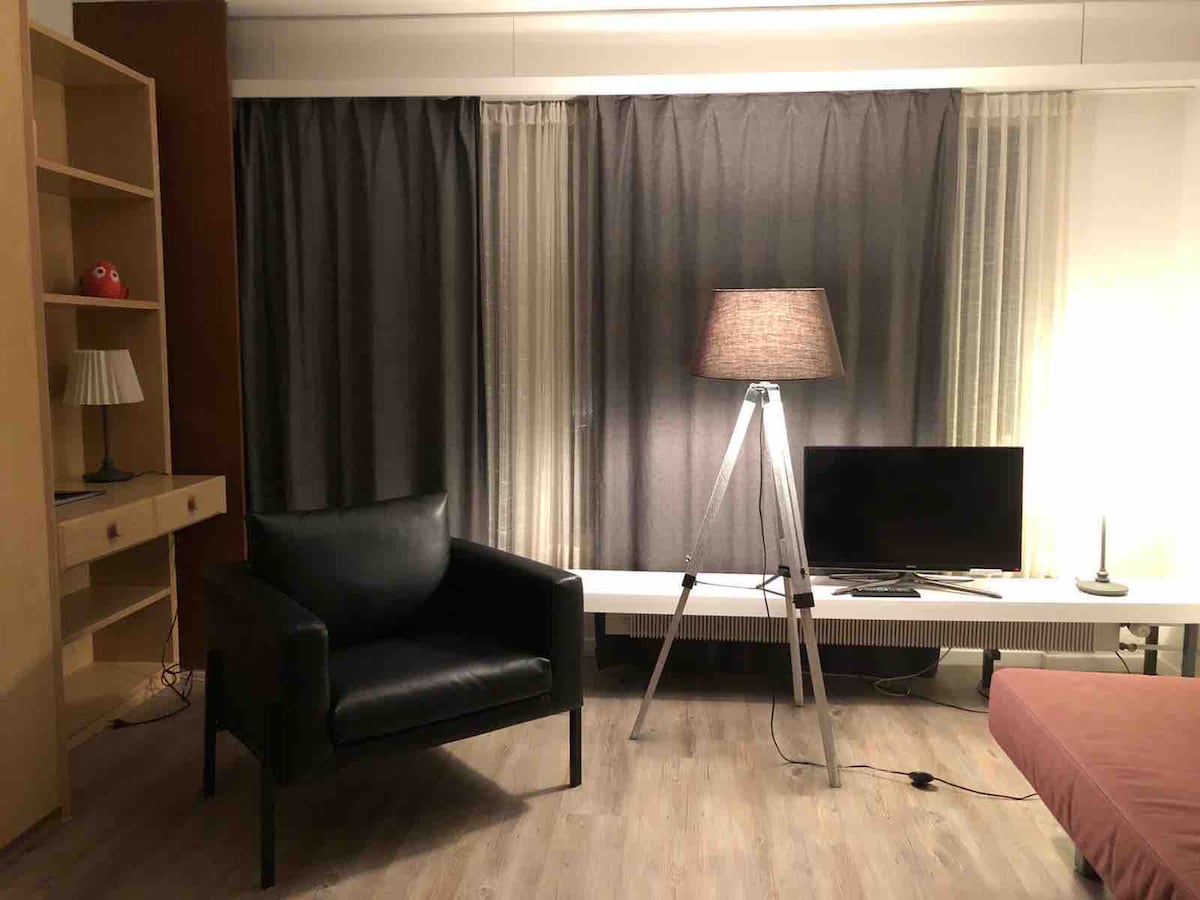 Sala/dormitorio con armario, camas y sofá cama