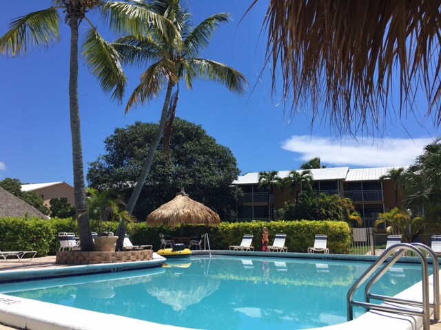 A clear blue sky is framed by tall palm trees above a tranquil swimming pool. A thatched-roof tiki hut provides shade nearby, while lush greenery surrounds the area. The pool is inviting, with a float positioned on the surface, and portions of the resort are visible in the background.