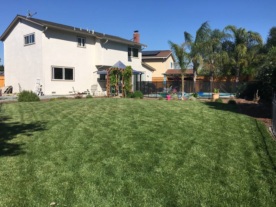 Did I mention we love our backyard?