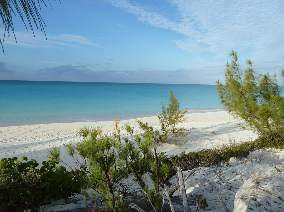 View from the front deck.