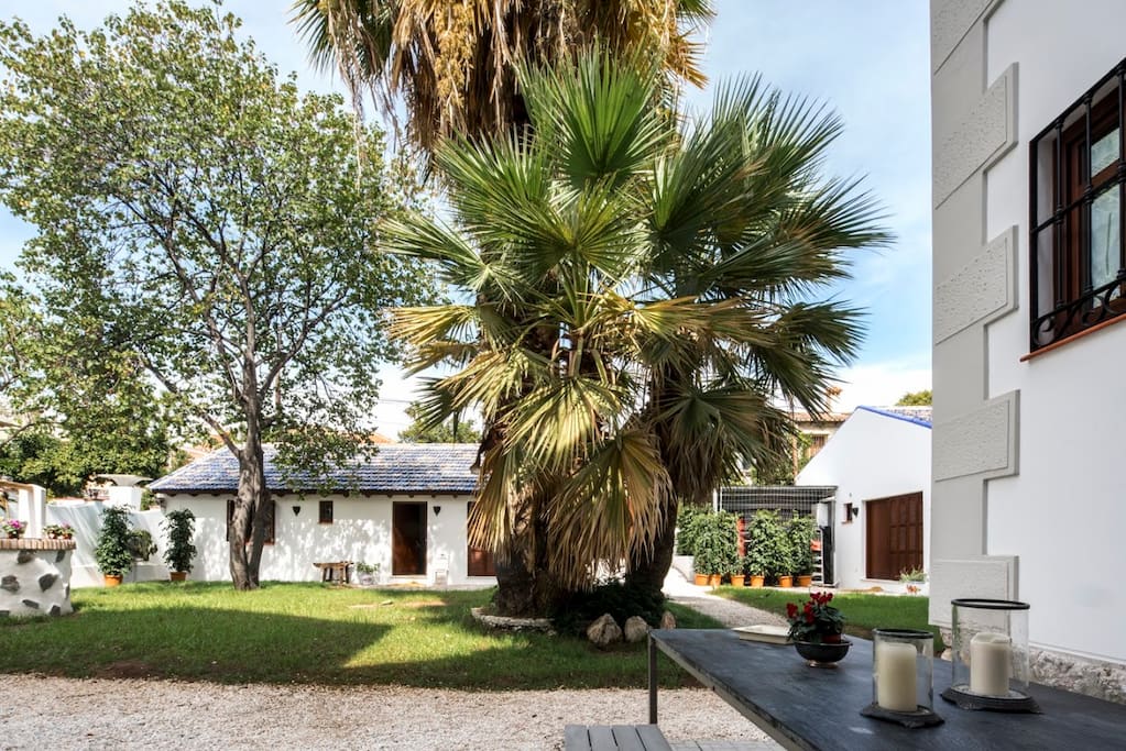 Patio-garden is the sharing place for all the guests
