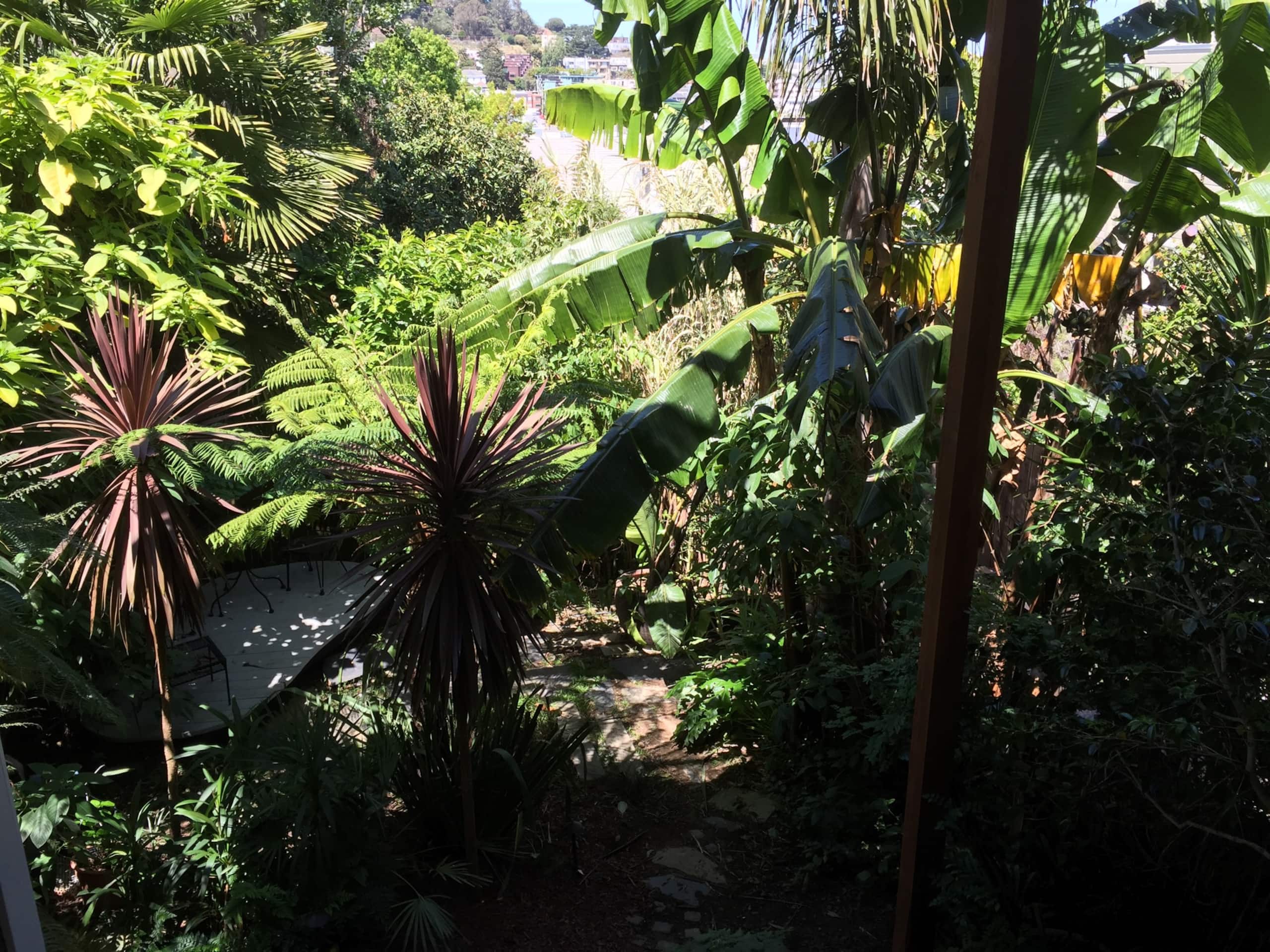 Home in San Francisco · ★4.98 · 1 bedroom · 1 bed · 1 bath - Image 14