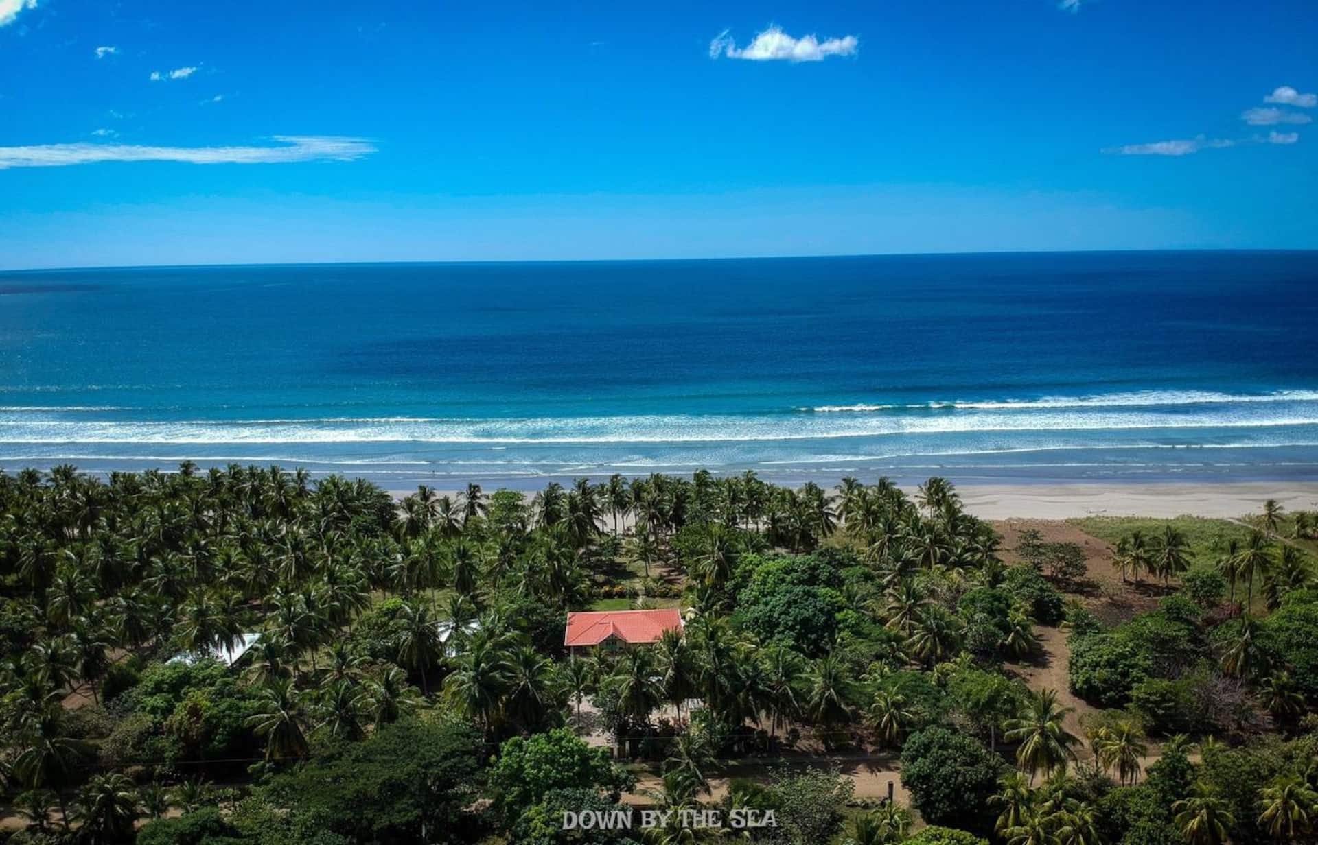 Down by the Sea, the beachfront Apartment & Studio — foto 2
