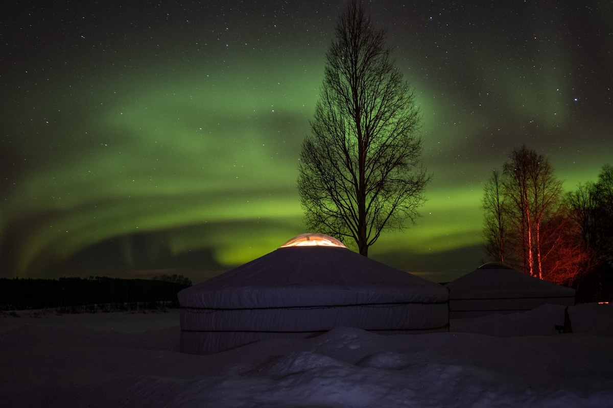 Two yurts are situated under a vibrant display of the northern lights, with shades of green illuminating the night sky. A tree stands nearby, and the snowy landscape surrounds the yurts, creating a serene atmosphere.
