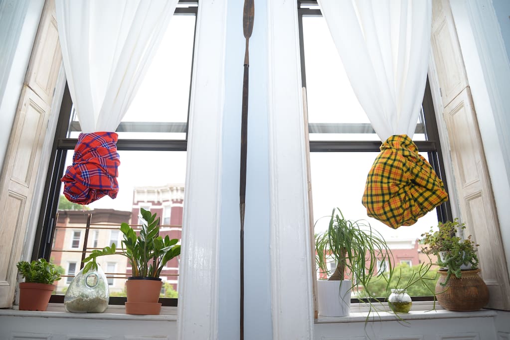 Living room windows