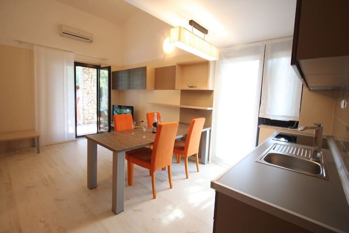 Airbnb Kolan Vacation Rentals Places To Stay Zadar County