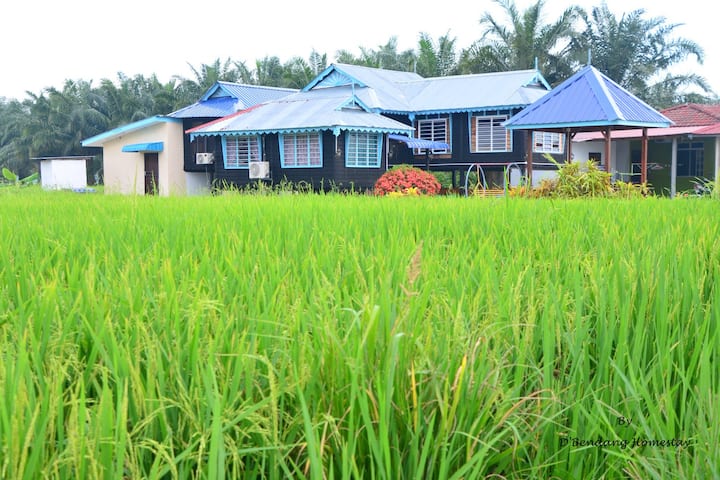 Kuala tepi sawah selangor homestay CARIAN HOMESTAY