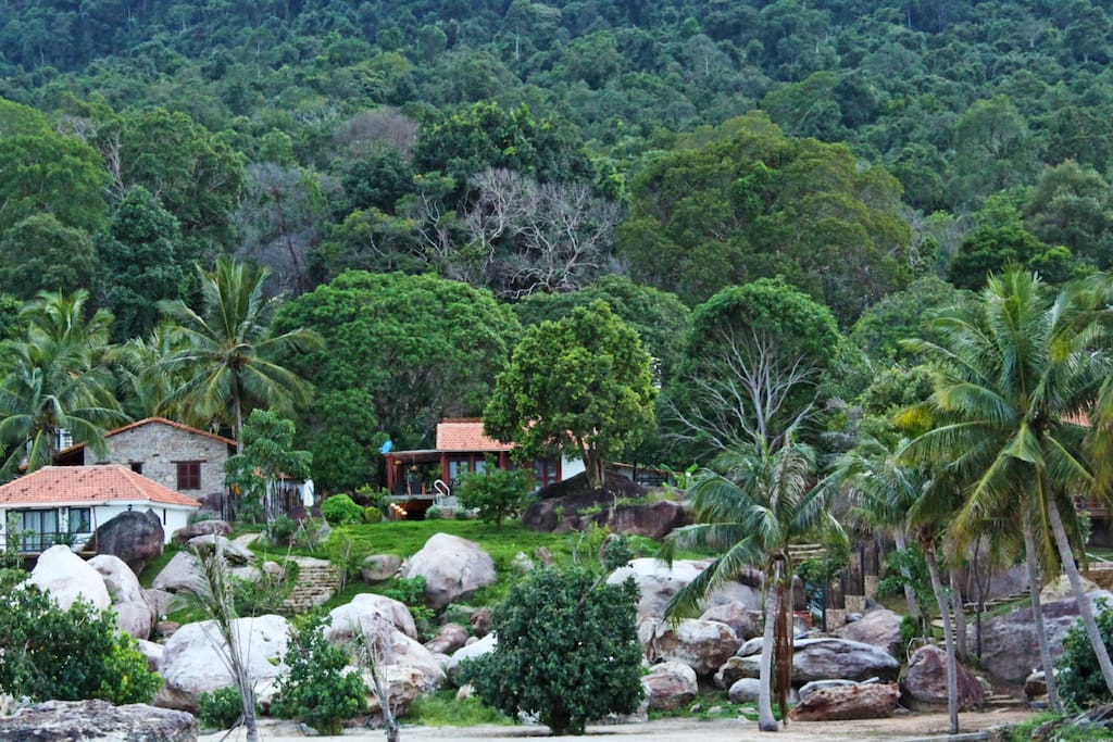 The villa is surrounding by four-season fruits and flower garden
