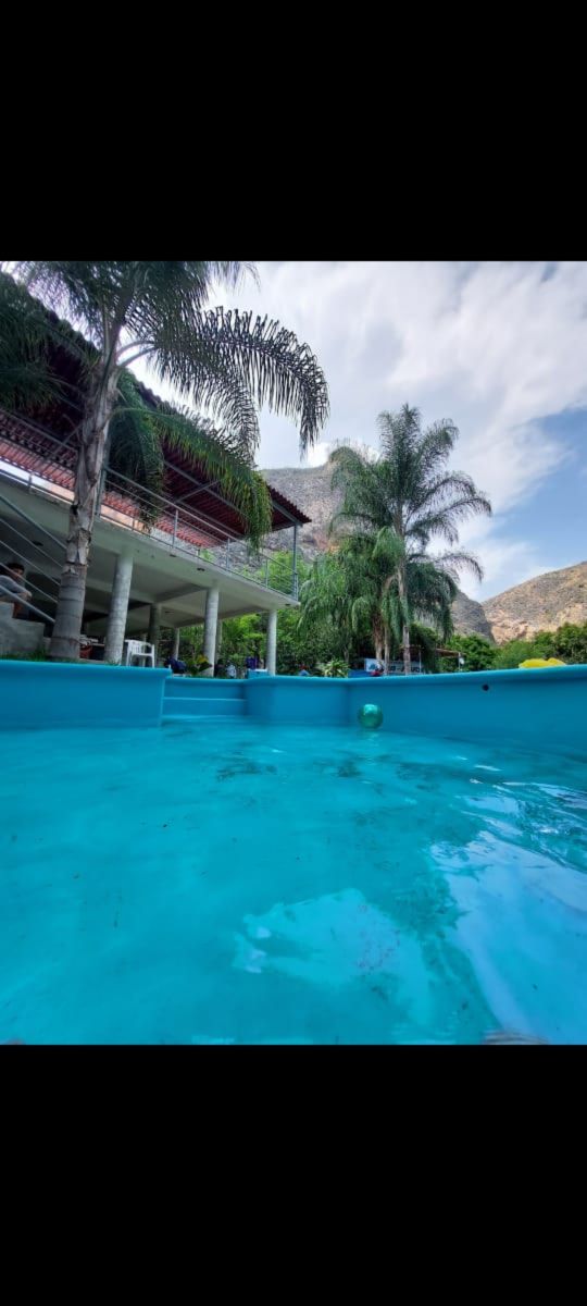 A swimming pool with clear blue water is framed by tropical palm trees. The edge of the pool leads to a spacious patio area above, featuring multiple lounge chairs and tables, with lush greenery providing a serene backdrop.