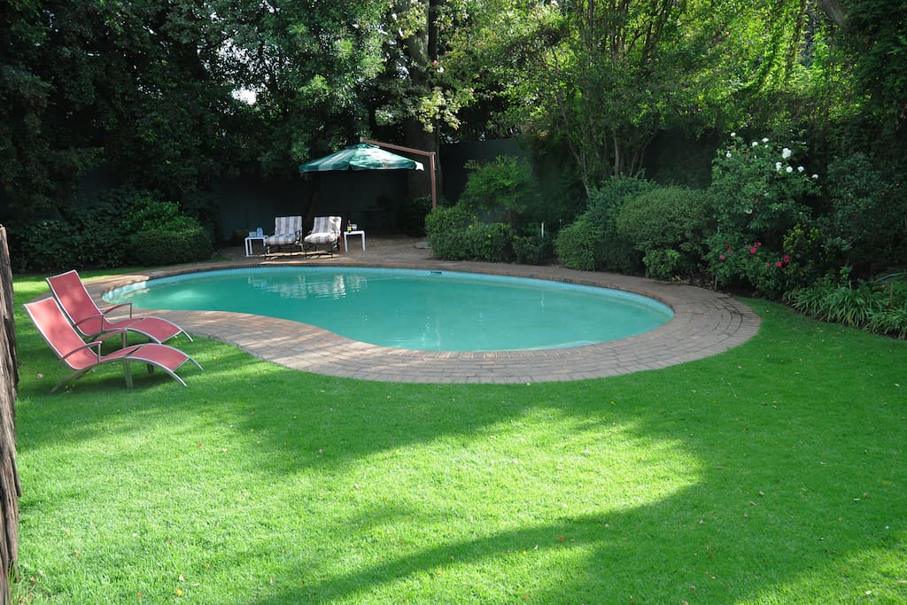 Garden and pool with large variety of trees, shrubs and plants.. a quiet place to relax