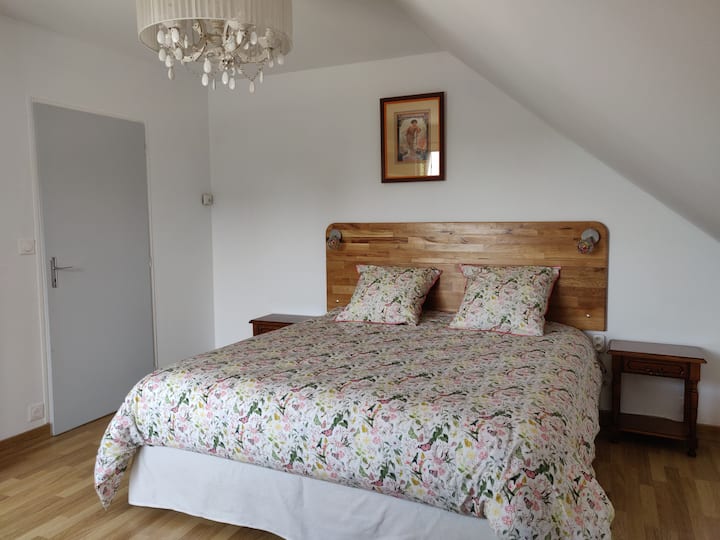 Habitación 2