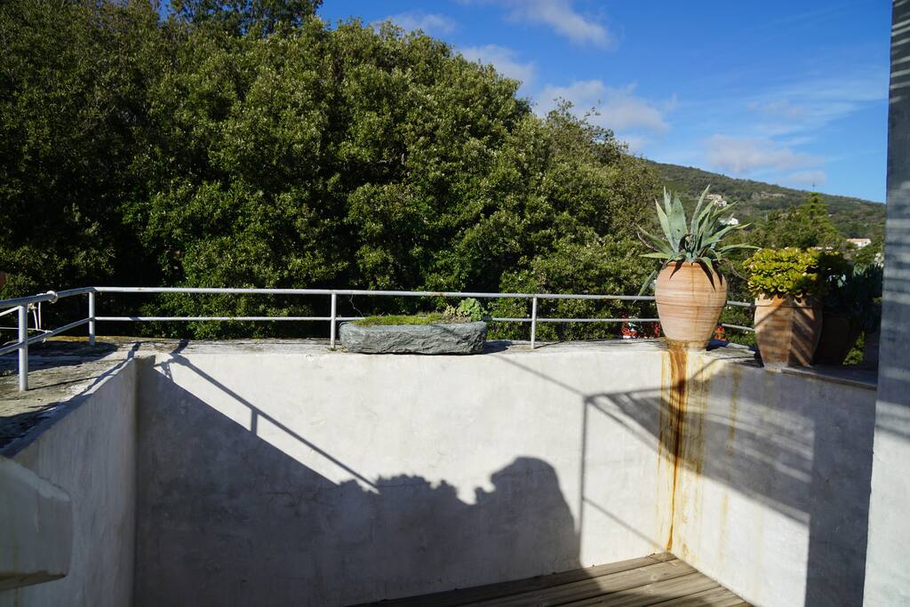 Terrasse / côté montagne