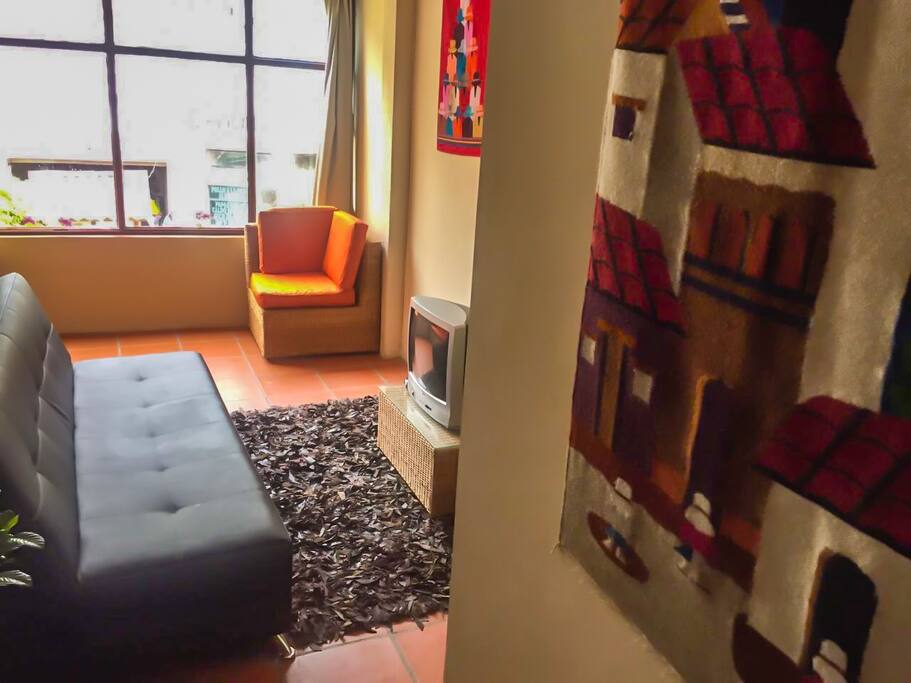 Sala de estar con sofá cama y televisión por cable