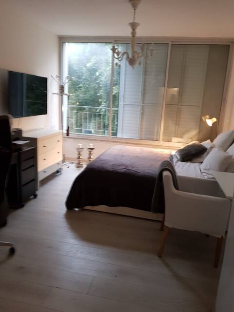 Luxury Studio Near the Park