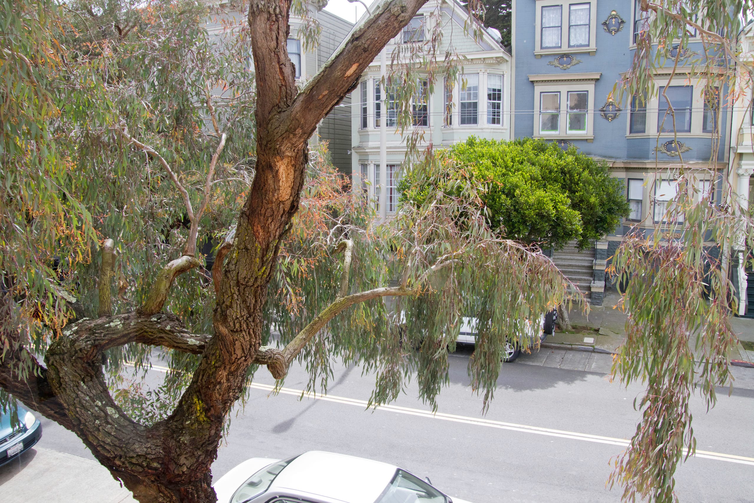 Home in San Francisco · ★4.9 · 3 bedrooms · 3 beds · 2.5 baths - Image 53