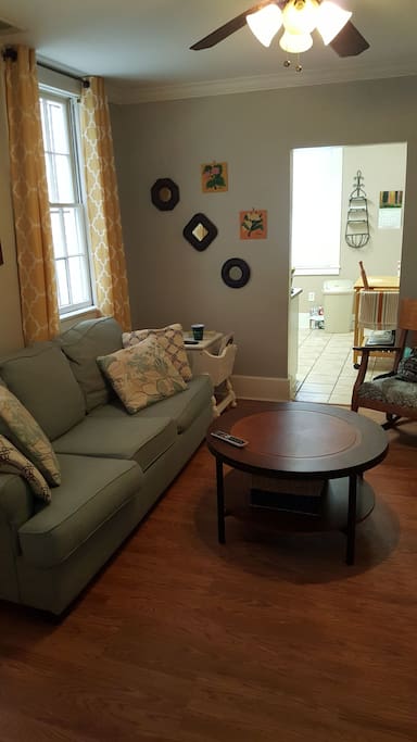 Living room with pull out sofa couch