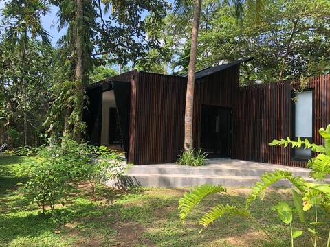 Modernism in a secluded Jungle (300m from beach)