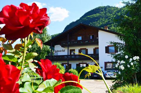 Kathrainhof 2-Raum Apartment Birke